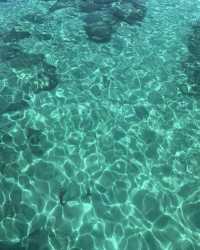 中國版馬爾代夫！潛水&鯨魚の高甜約會攻略~