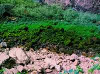 The Mysterious Beauty of Heizhu Valley