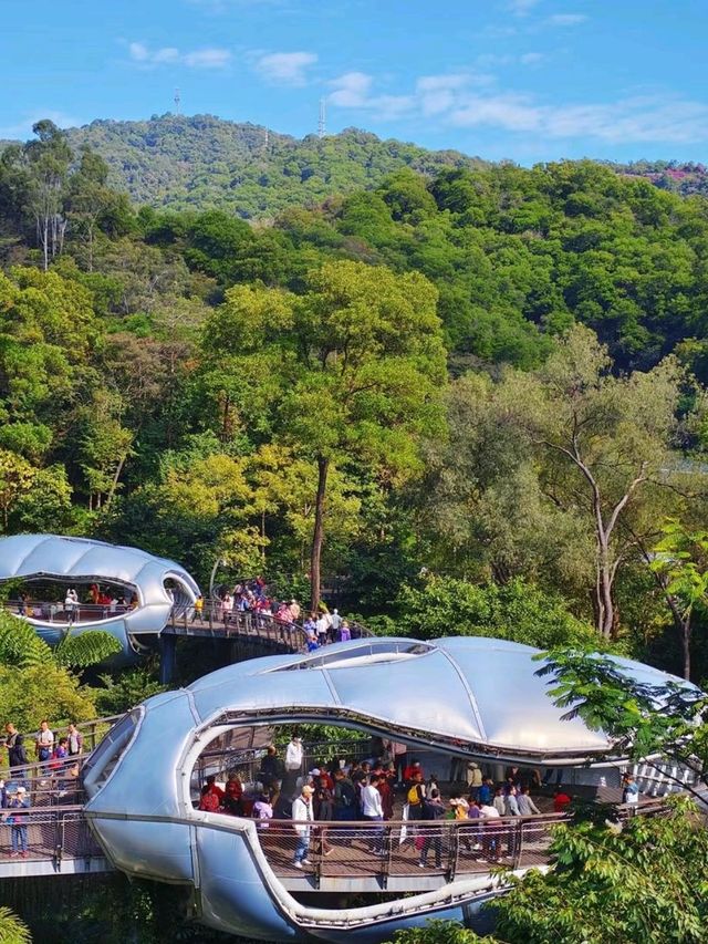 Guangzhou Yulong  Botanical Garden is so Amazing❤️🥰