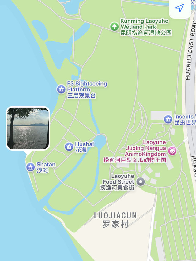 Kunming Day Trip