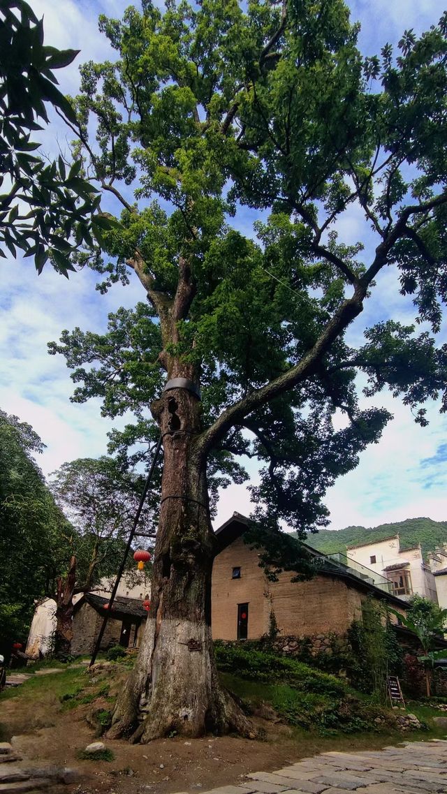 深山之中的白石嶺
