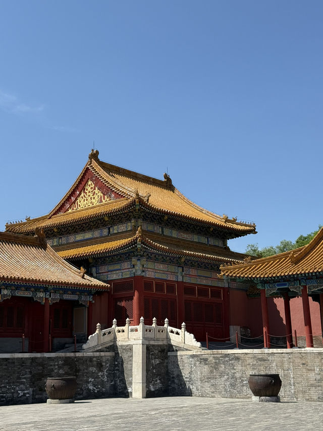 The Palace Museum 