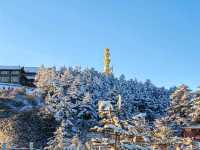 峨眉山旅遊攻略︱探秘佛教聖地與自然奇觀