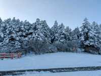 峨眉山旅遊攻略︱探秘佛教聖地與自然奇觀