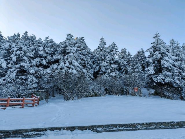 峨眉山旅遊攻略︱探秘佛教聖地與自然奇觀