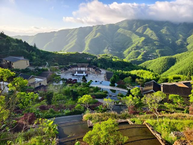 信宜馬安竹海沉浸式旅記