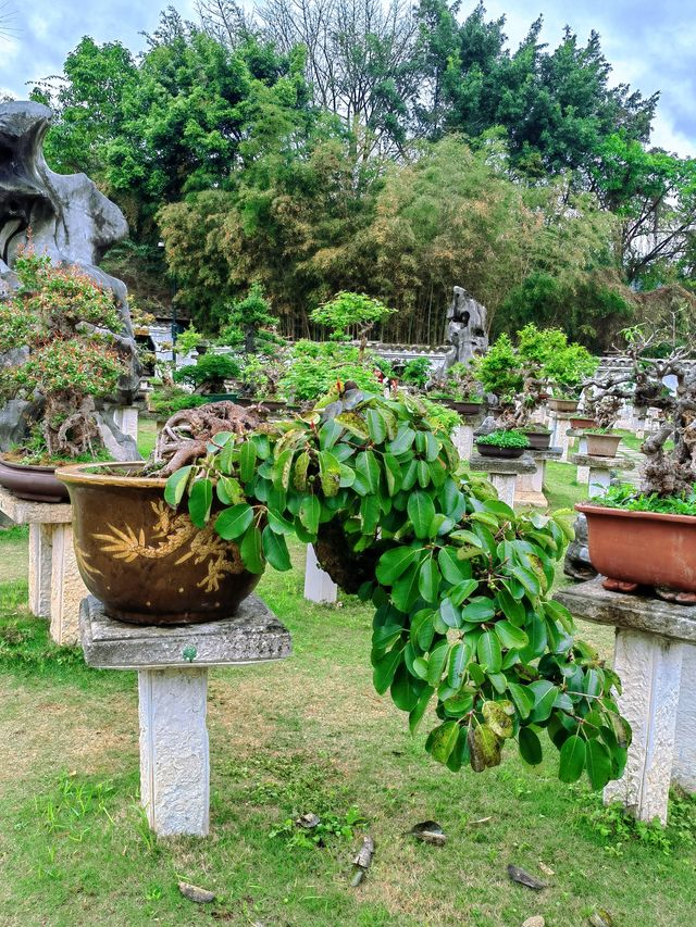 別錯過盆景園！黃果樹大瀑布景區裡的一個小驚喜