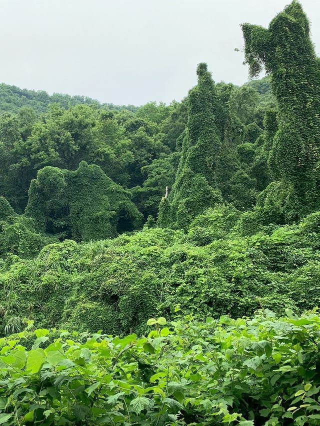 被嚴重低估嘅象山秘境！將童話場景1：1搬入現實