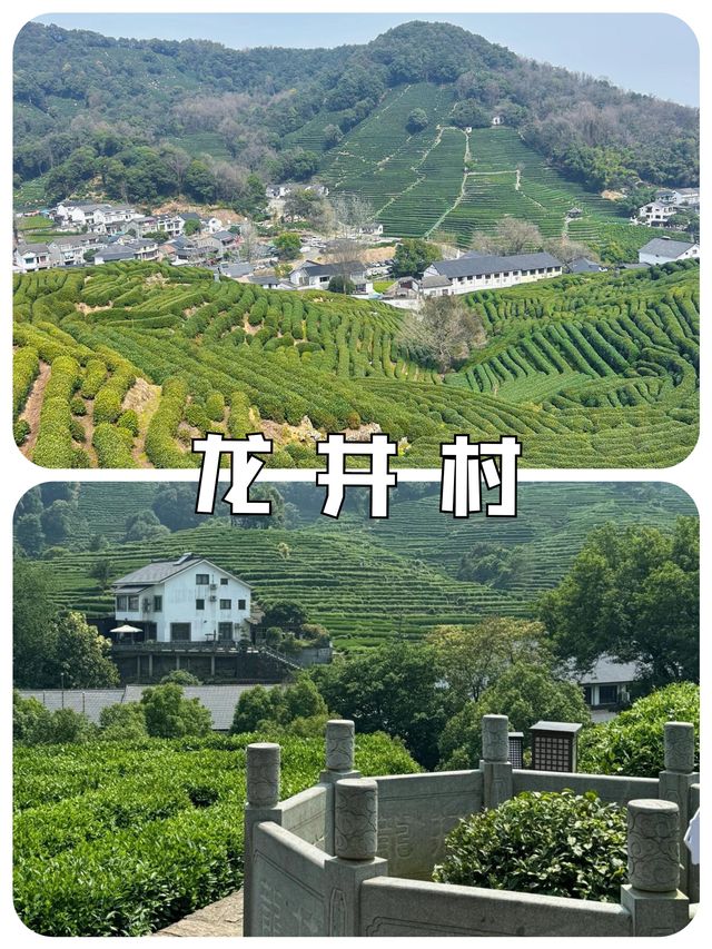 快嚟龍井村品茶行山 將春天嘅味道帶返屋企