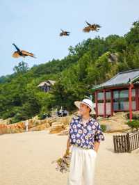連雲港旅行｜本地人教你正確玩轉連島