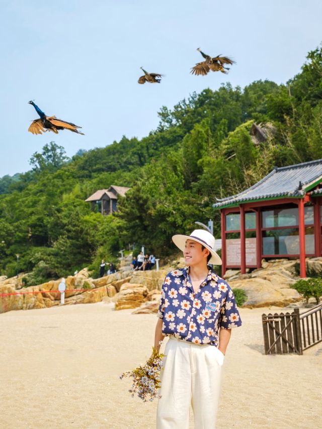 連雲港旅行｜本地人教你正確玩轉連島