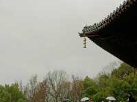 杭州西湖旅遊攻略 | 人間天堂的絕美之旅