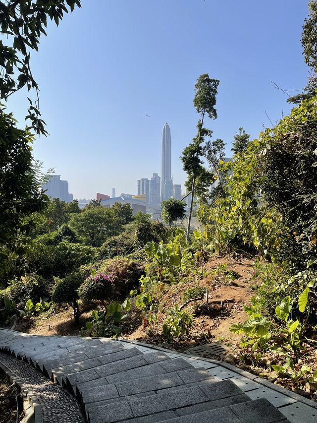 Drone Delivery In The Park, Experience The Future In Shenzhen. It’s Amazing 