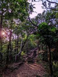 *【獅子山：香港の魂を感じる絶景ハイキング】**  