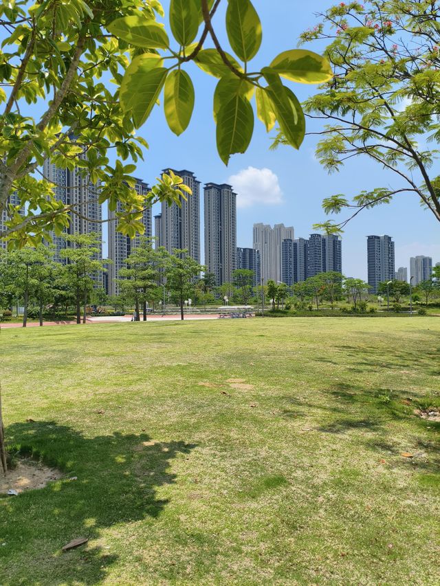 廈門海滄｜我喺呢度露營，你呢？