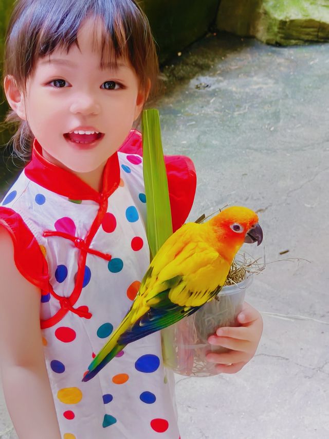 帶小朋友去動物園就啱晒！！！