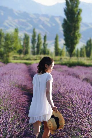 เดือนมิถุนายน｜สีม่วงเฉพาะที่อี๋หลี