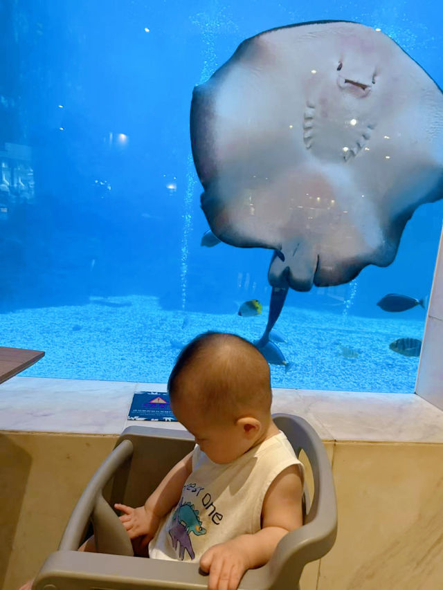 邊個會明嚟三亞玩超長泳道槳板嘅快樂