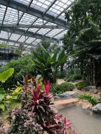 南昌珍奇植物園影相封神攻略！3大溫室，避開99%遊客相