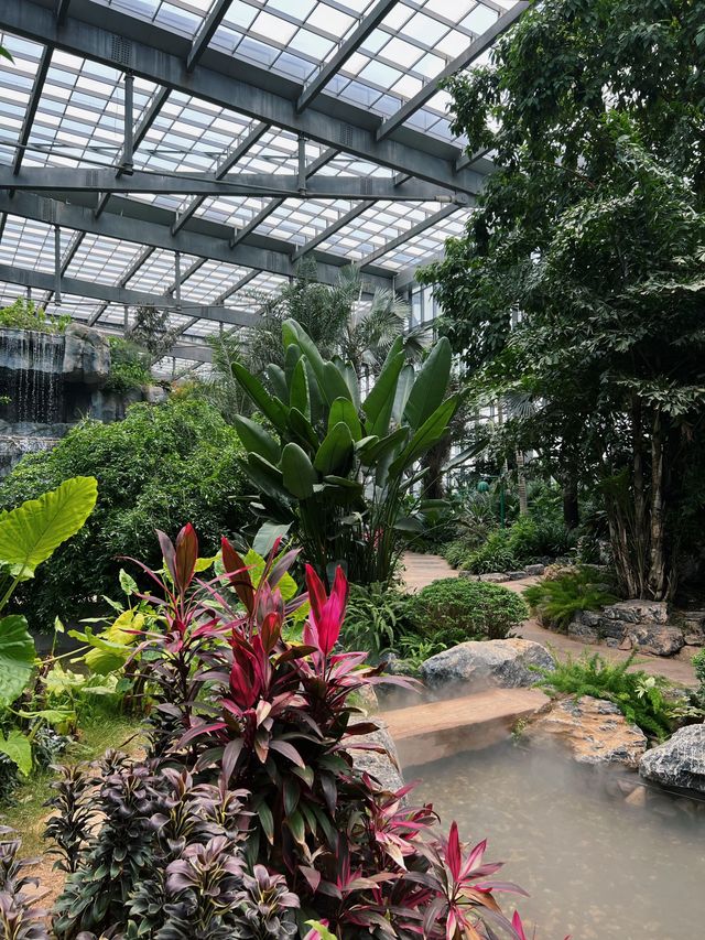南昌珍奇植物園影相封神攻略！3大溫室，避開99%遊客相