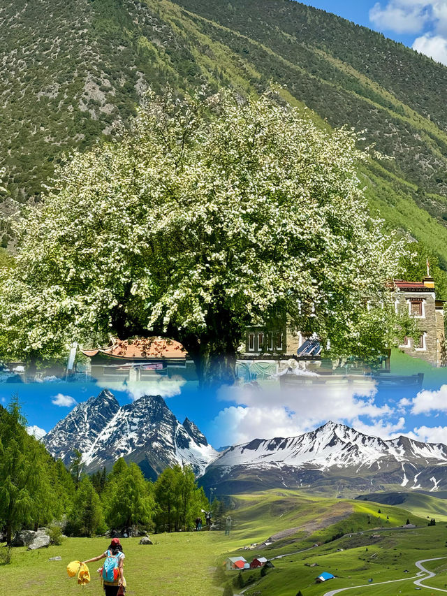 川西旅行攻略｜現實版人間仙境！呢份保姆級攻略收好