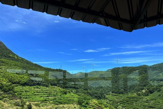 廈門，將浪漫焊喺風景裏