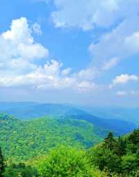 解鎖臨江溪谷嘅夏日密碼