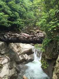 闖進現實版的綠野仙蹤，被20℃的夏天治癒了。