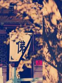 南京鷲峰寺 仏教文化と歴史の旅