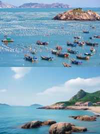 上海周邊驚現寶藏！枸杞島夏日玩水超開心