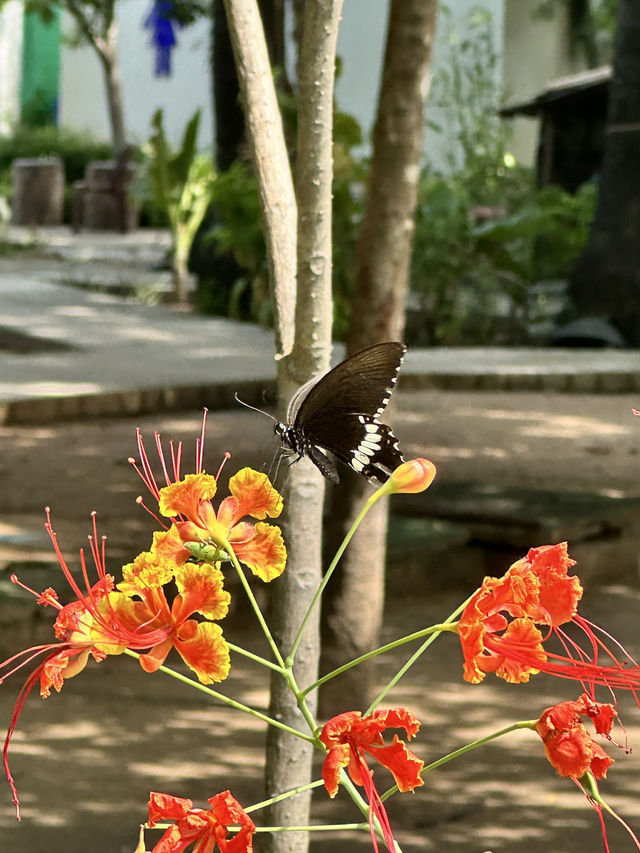 Cambodia’s Haunting History Combined With Modern Charm, Phnom Penh Is An Underrated Haven!