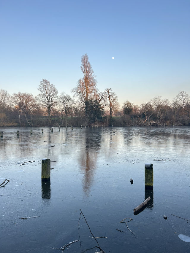 Hyde Park, London! 