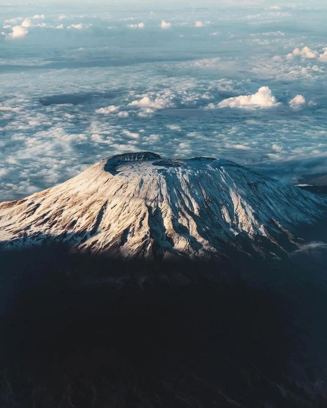 「你與世界只差一場觸動生命的旅行」坦桑尼亞（北部safari