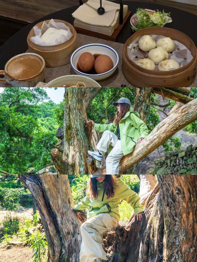 打卡紹興冬悅里！開啟江南水鄉的奇妙