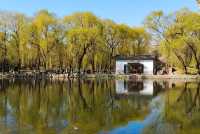 一場大火後的圓明園