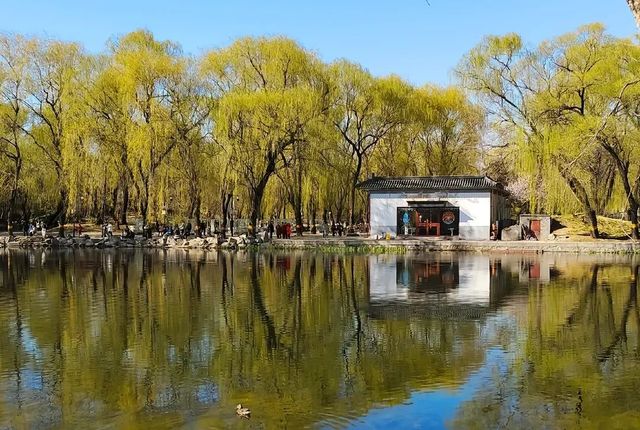 一場大火後的圓明園