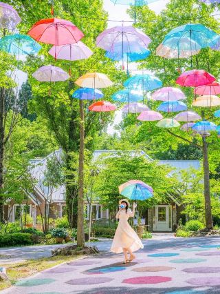 오야마초의 아름다운 숲과 물의 교회