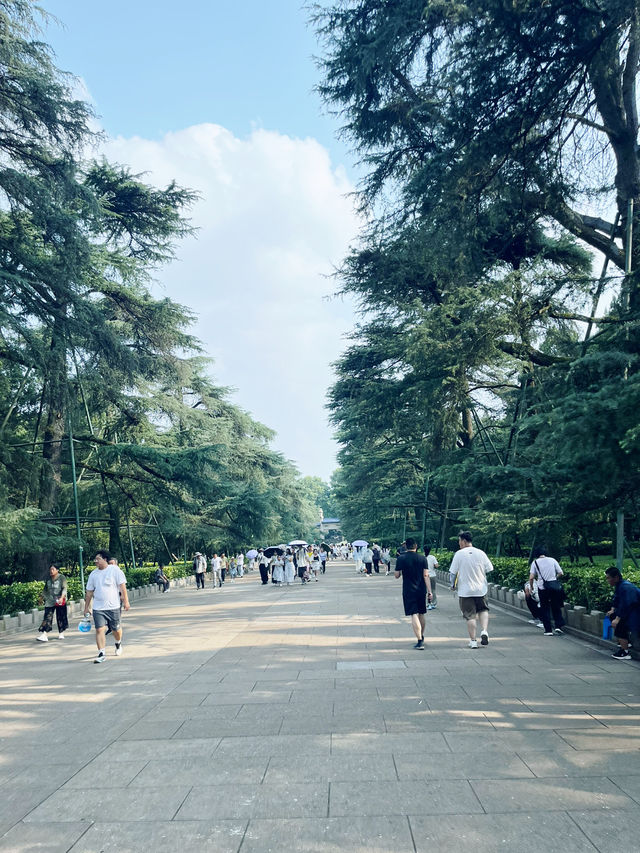 🏞️【南京必遊】省時80%！带爸媽玩中山陵的最輕鬆方案