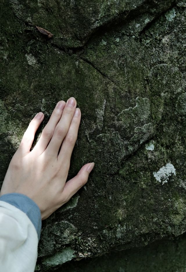 福州森林公園全攻略