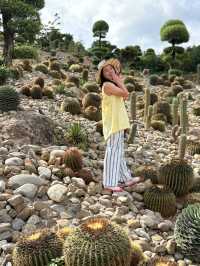 暑假親子遊|彌勒太平湖森林公園(附攻略)