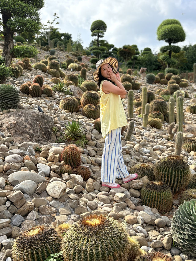 暑假親子遊|彌勒太平湖森林公園(附攻略) 暑假親子遊|彌勒太平湖森林公園(附攻略)