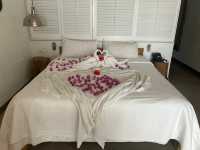 An Unforgettable Stay at Zilwa Attitude