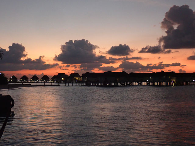 Returning to Paradise: A Love Letter to the Island