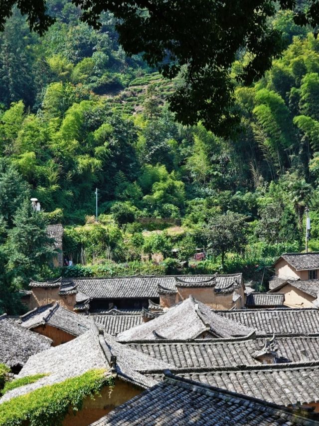 遊麗水古村 | 探秘被時光遺忘的江南秘境