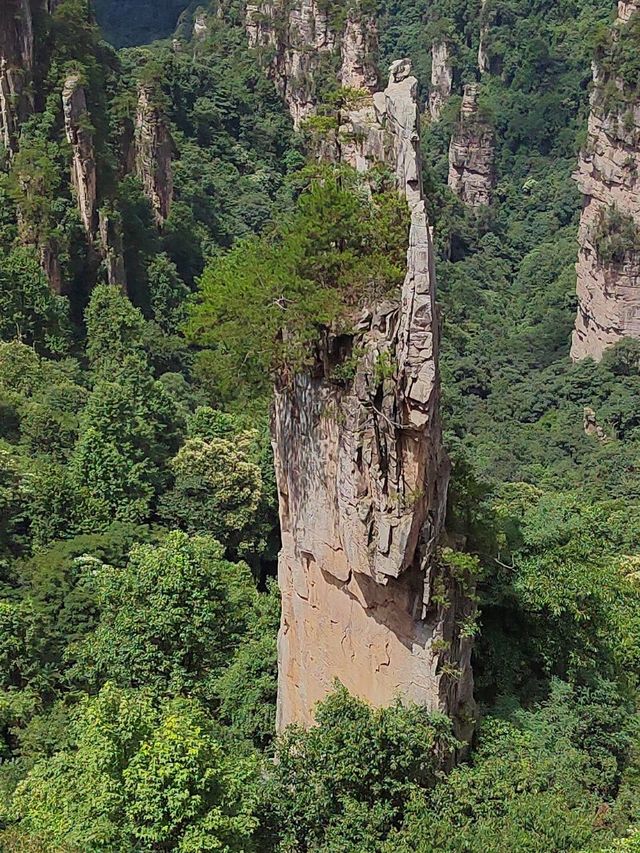武陵源天子山旅遊攻略