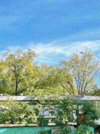 花影流光：浐灞桃花潭的春日私語