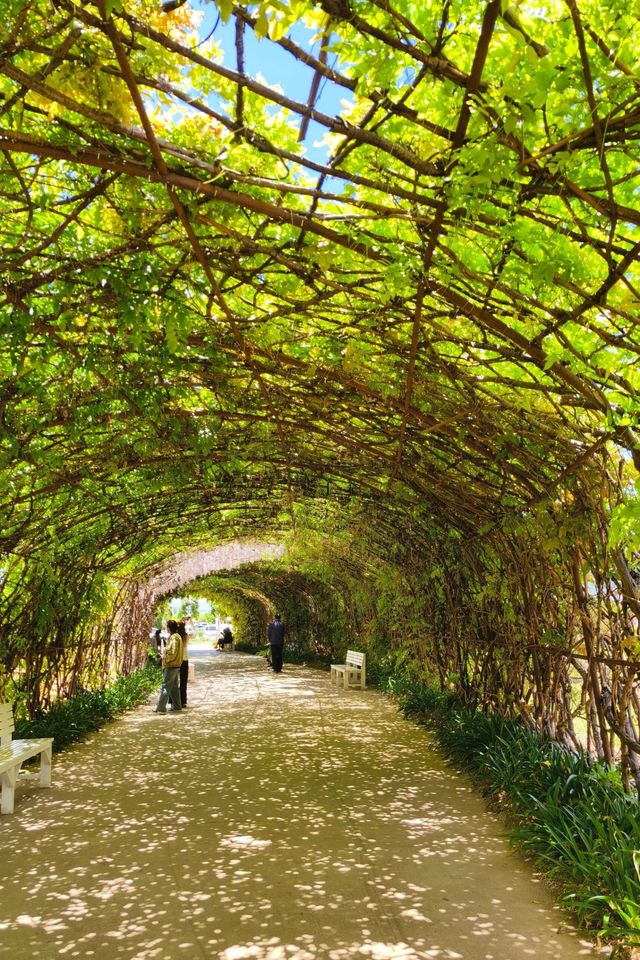麗江日照金山婚紗照風格