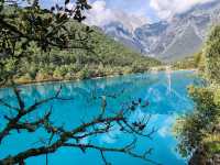 Blue Moon Valley: The Jade Beneath Jade Dragon Snow Mountain