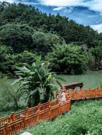 就在廣東信宜住進森林樹屋，天然氧吧！