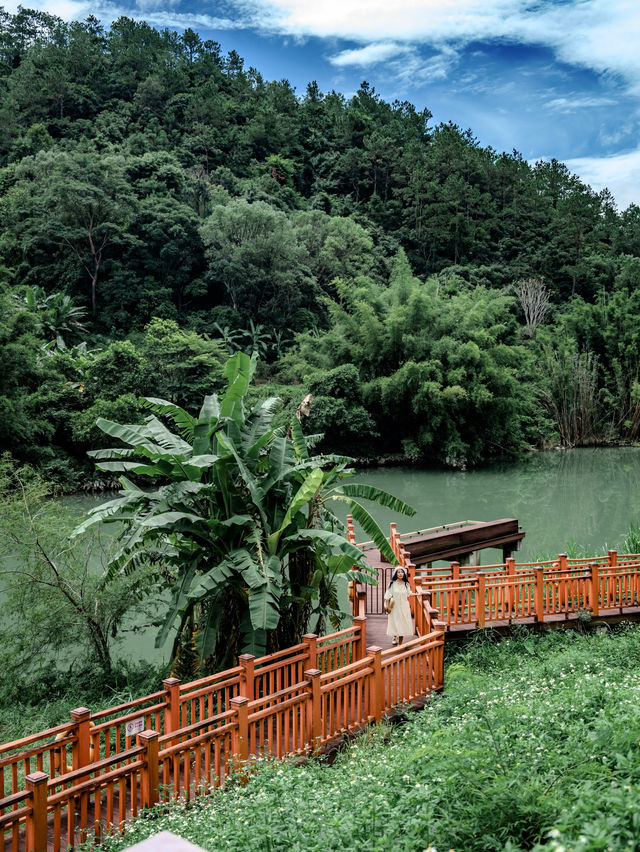 就在廣東信宜住進森林樹屋，天然氧吧！